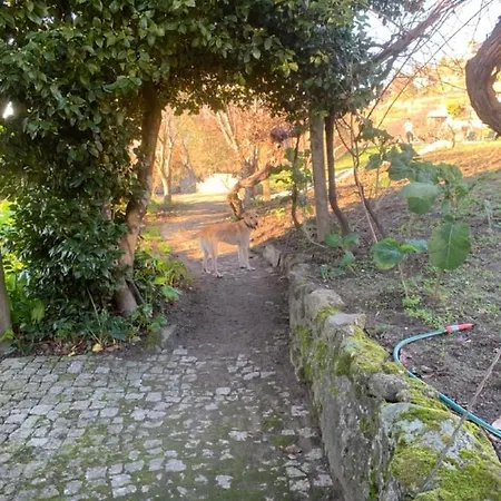 Casa Da Horta - Douro Portugal