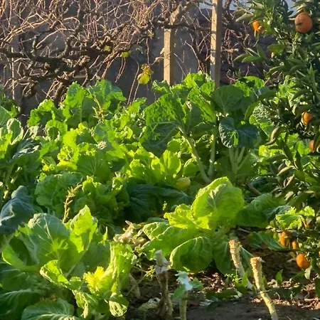 Casa Da Horta - Douro Portugal
