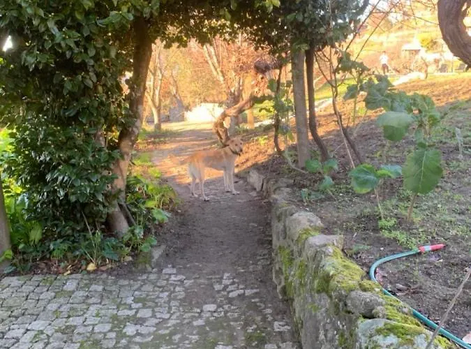 Casa Da Horta - Douro Portugal