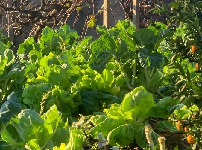 Casa Da Horta - Douro Portugal