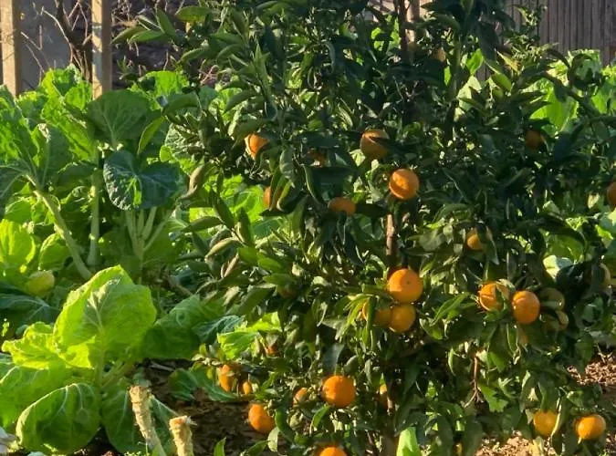 Ferienhaus Casa Da Horta - Douro Portugal